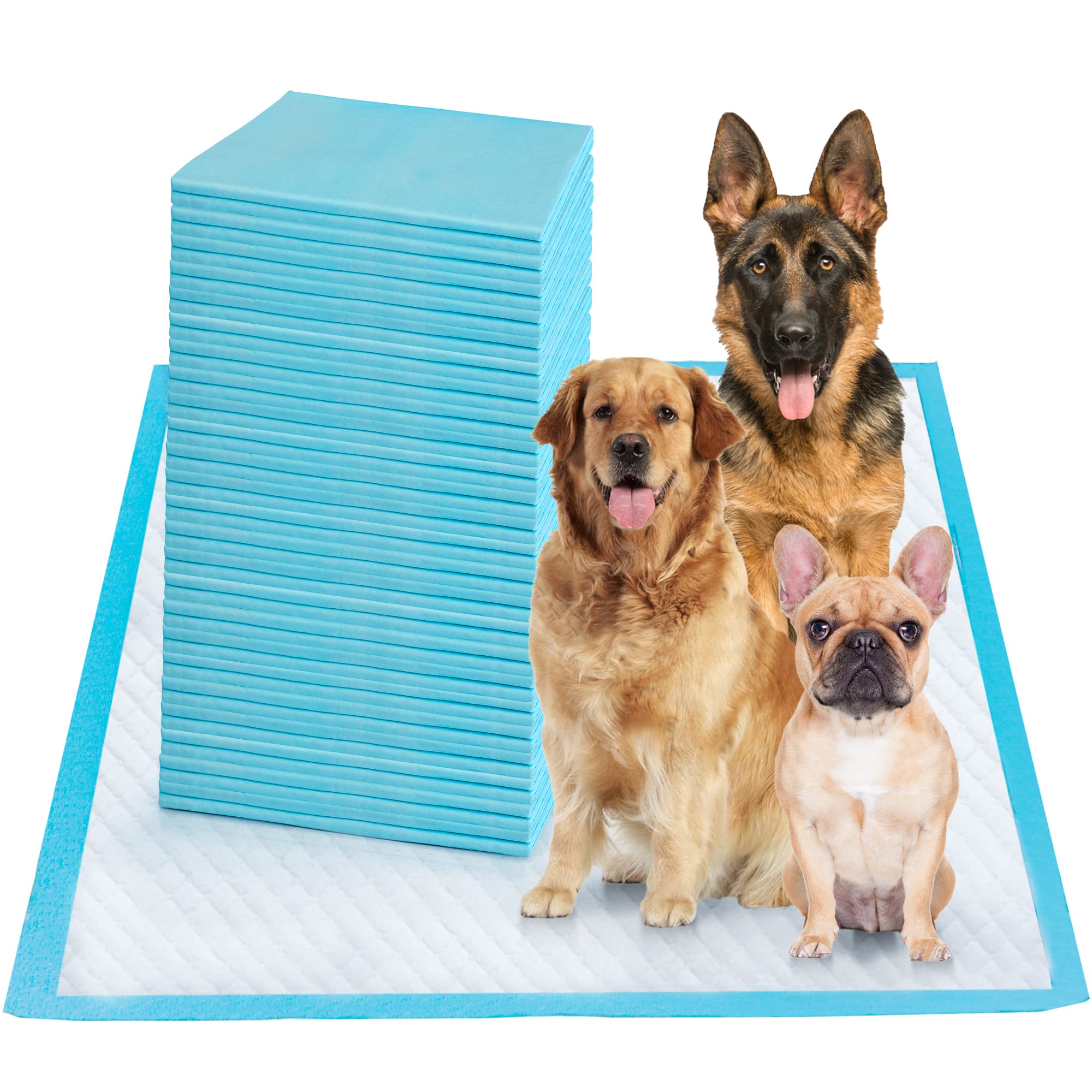 Boscute tapis d'apprentissage 36x36, grande taille, protège les sols.