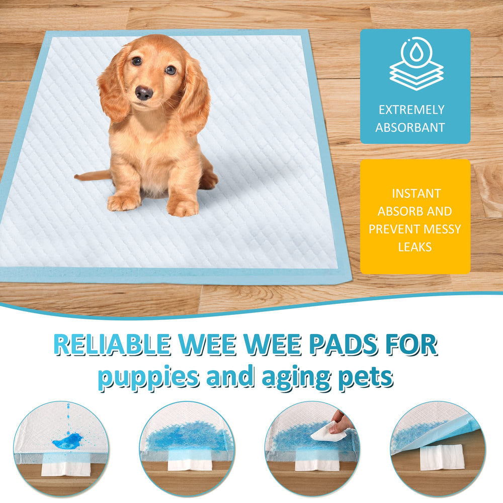 Tapis de dressage pour chiens et chiots, usage domestique pratique.