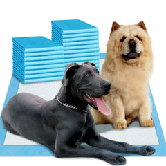 Tapis-pipi très grand 54x37 de Boscute pour grands chiens, protection du sol.