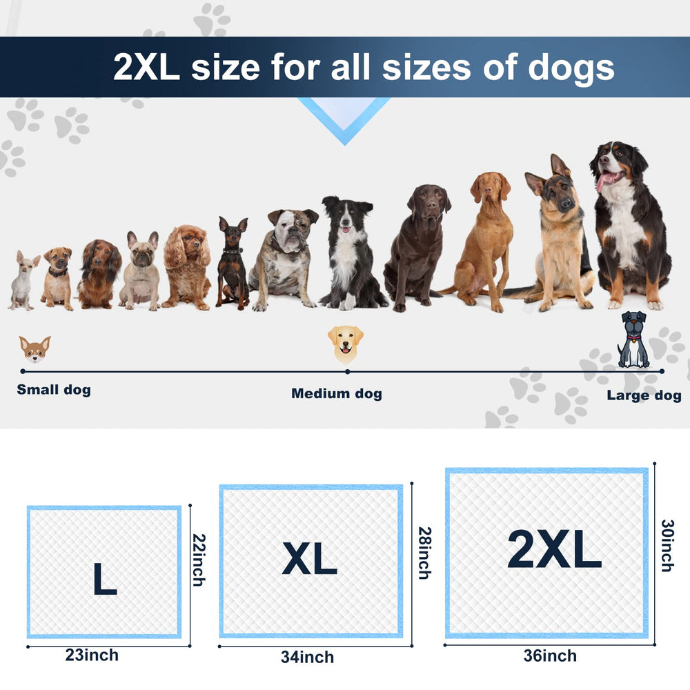 Tapis-pipi Boscute XXL 30x36 pouces, grande surface.