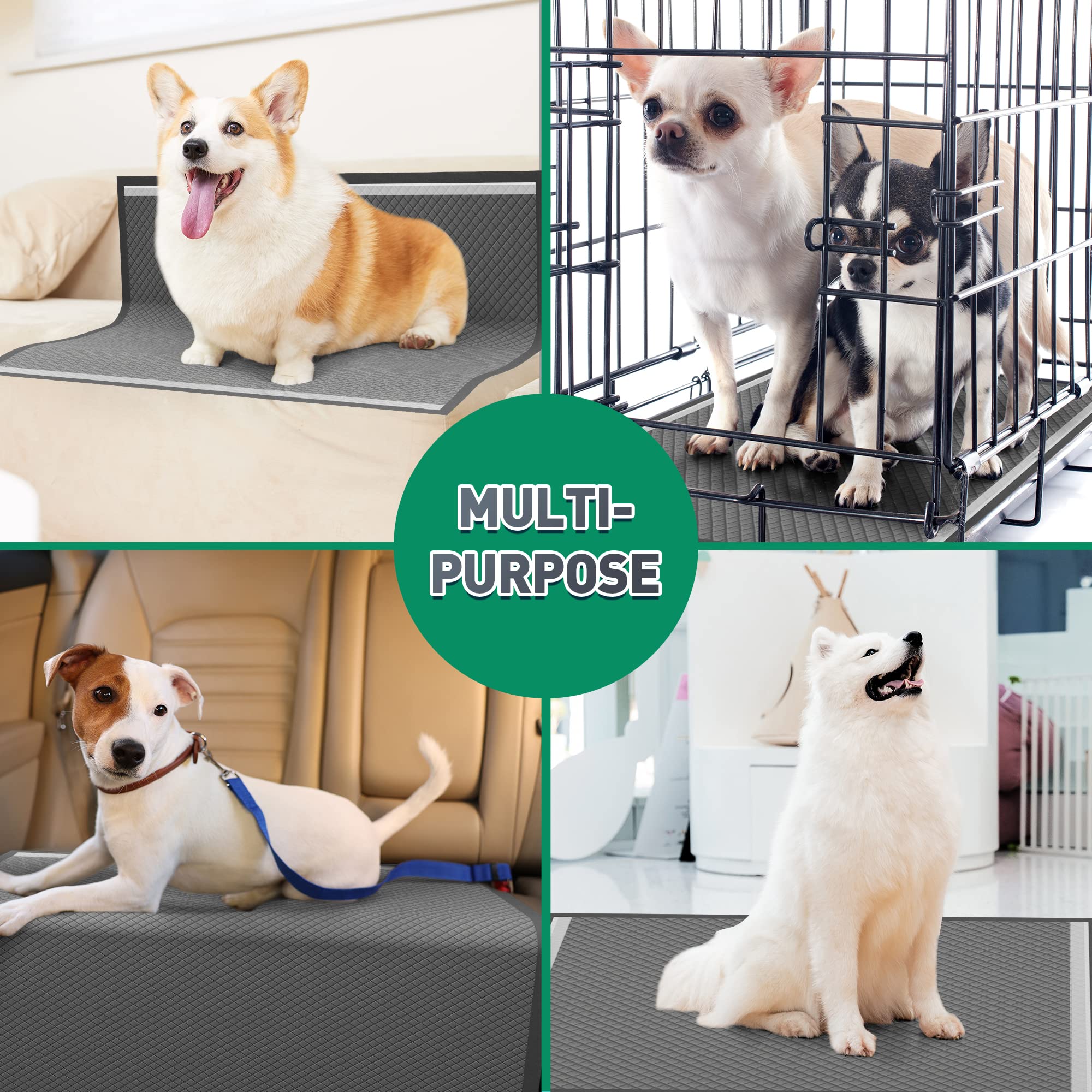 Tapis usage domestique Boscute, convient pour chiens et chats en intérieur.