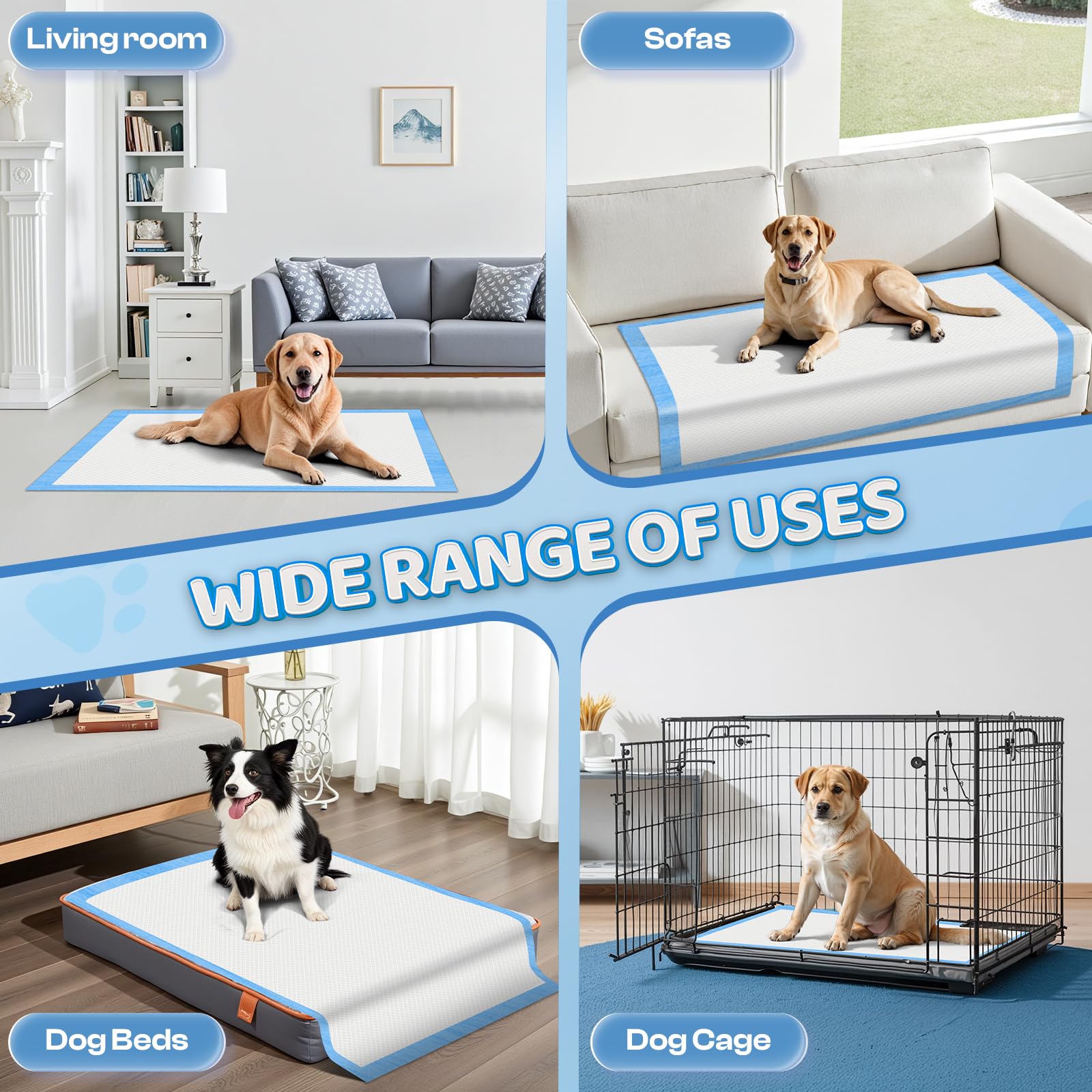 Cadeau idéal Boscute XXL – pour chiots et animaux âgés.