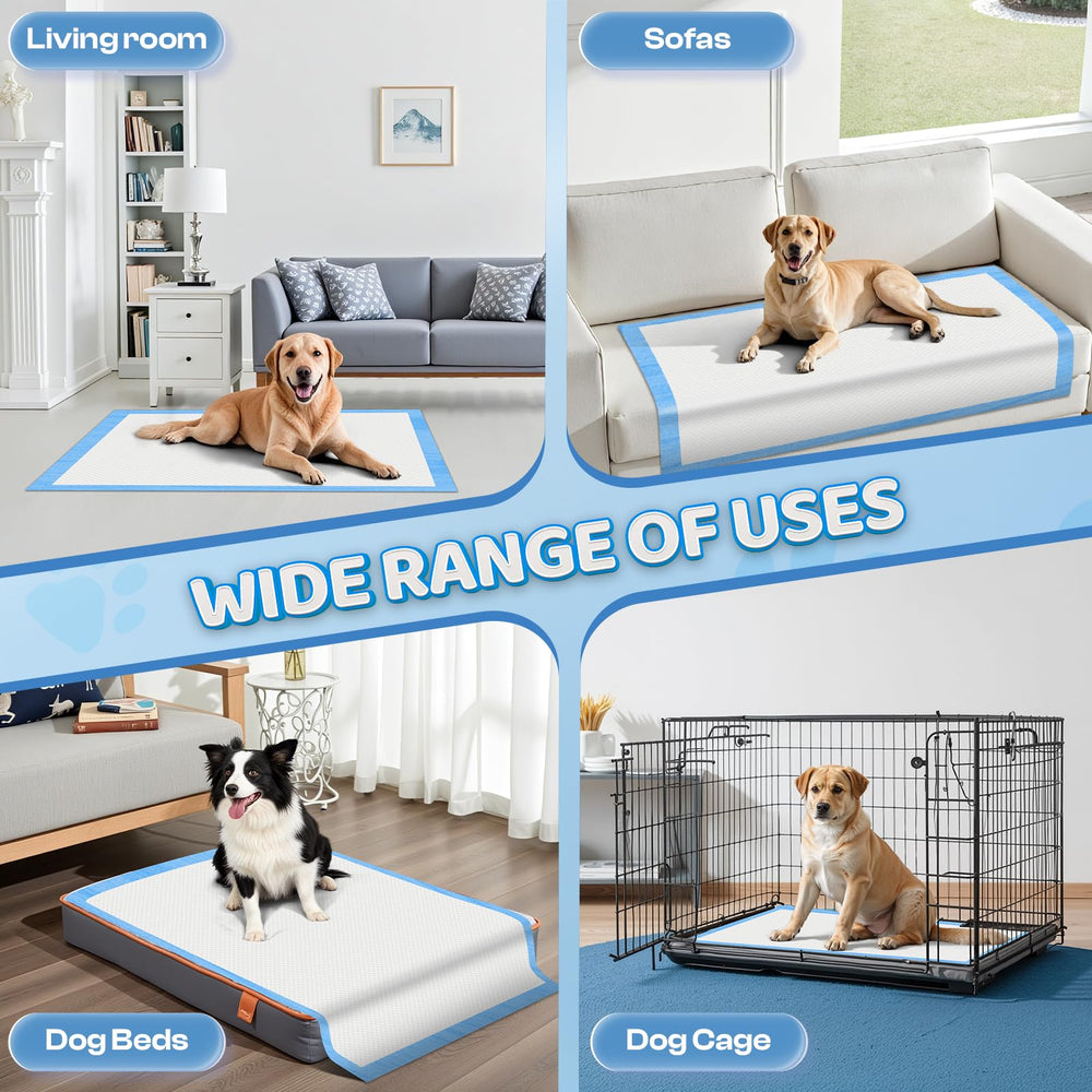 Cadeau idéal Boscute XXL – pour chiots et animaux âgés.