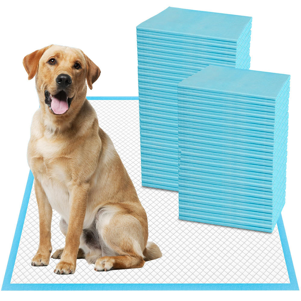 Tampons d'entraînement Boscute XXL pour animaux – grande surface et absorption efficace.