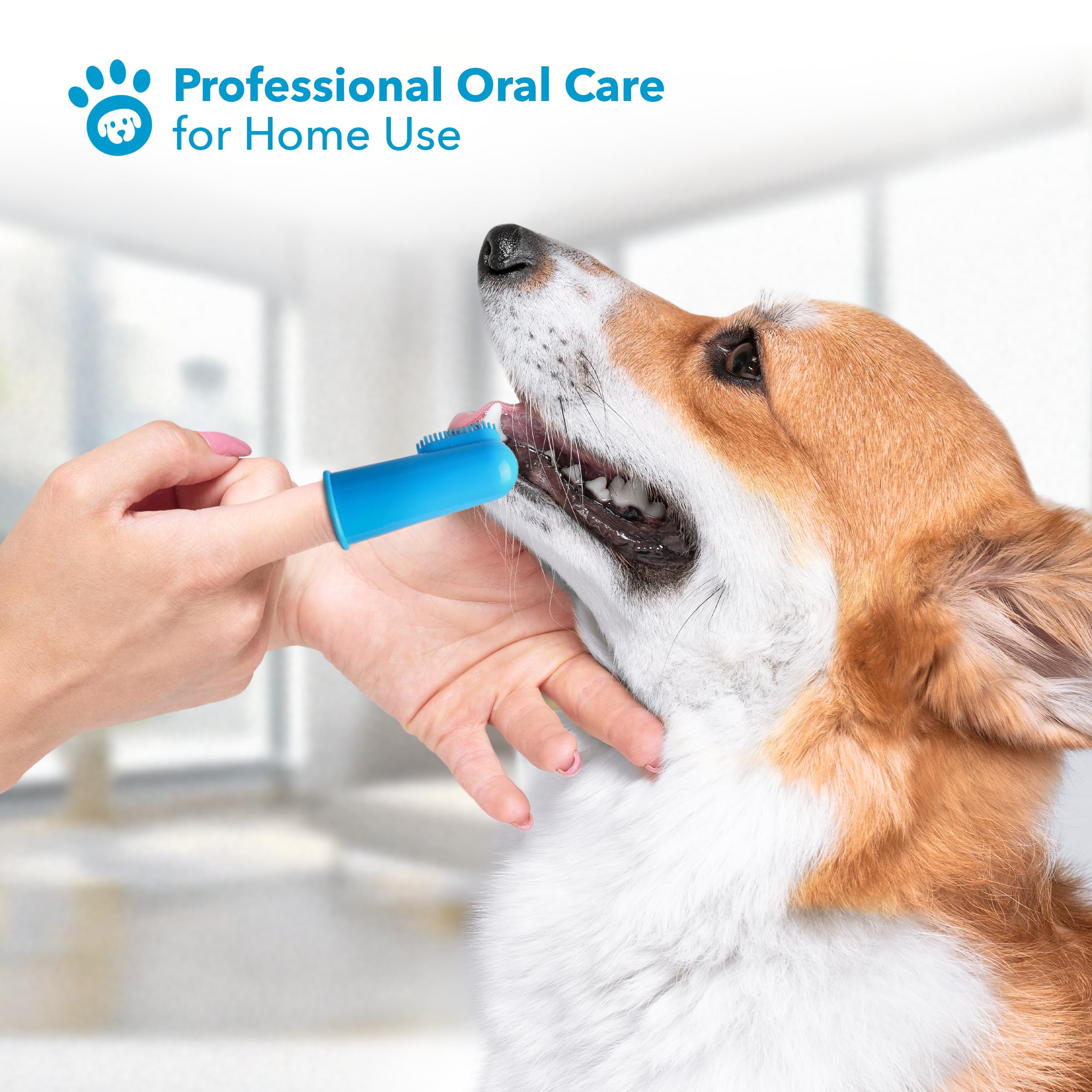 Boshel brosse-doigts-confort-dents-chiens, expérience sans stress lors du brossage.