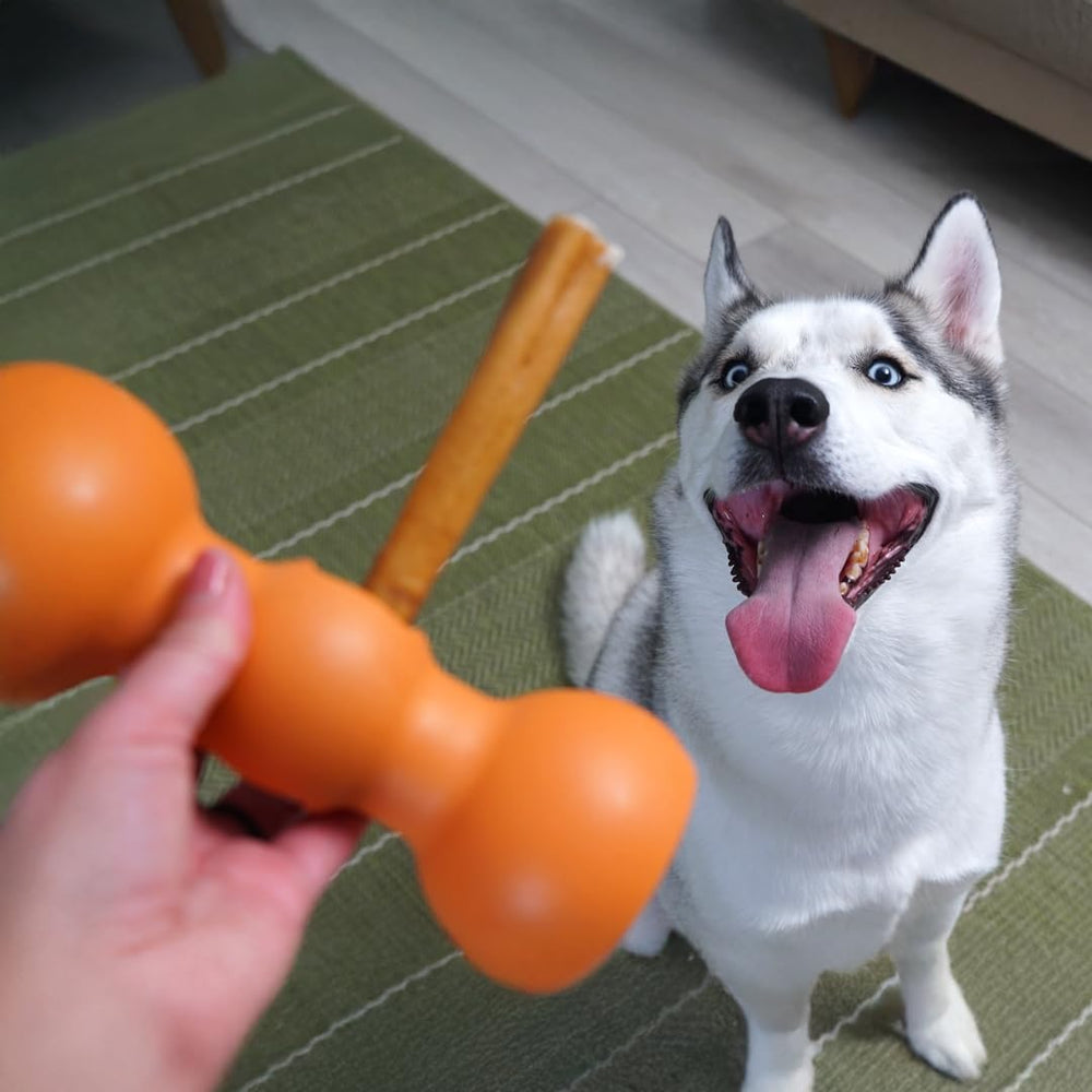 Bow Wow Labs Buddy : fabriqué aux États‑Unis pour une qualité locale.