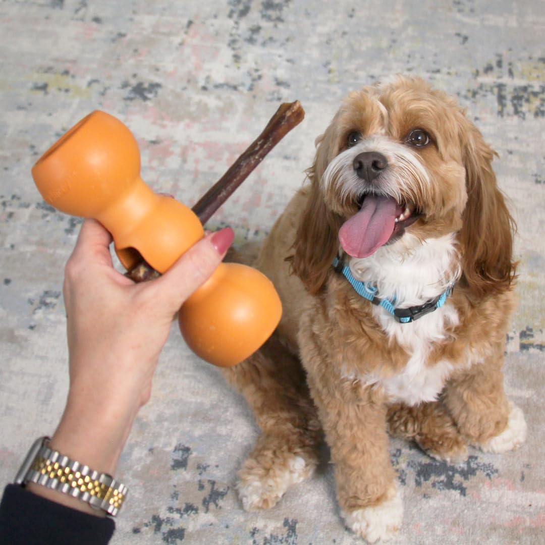 Bow Wow Labs Buddy — utilisation quotidienne lors des sessions de mastication.