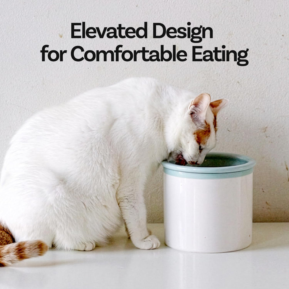 BOWLBOWL plateau ergonomique offrant un support stable pendant le repas.