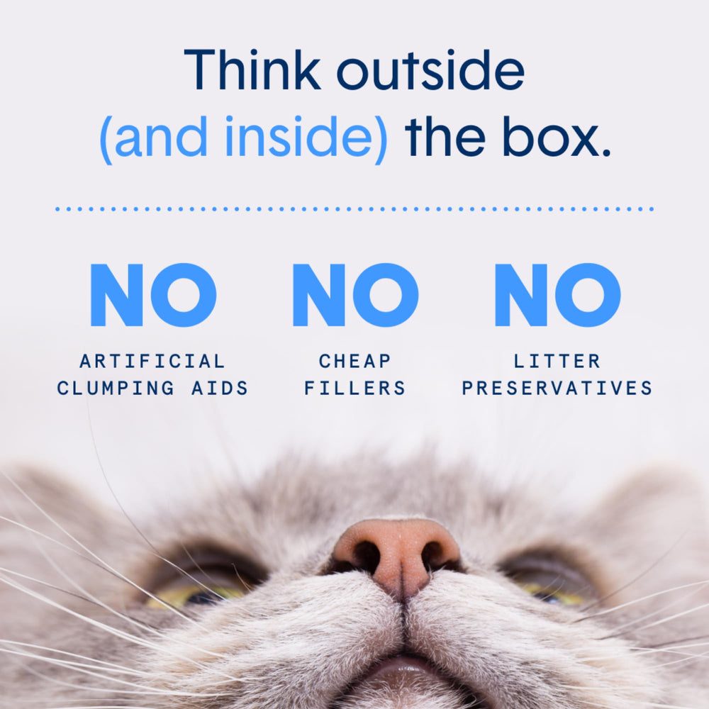 Boxiecat Eco: amas durables faciles à ramasser.