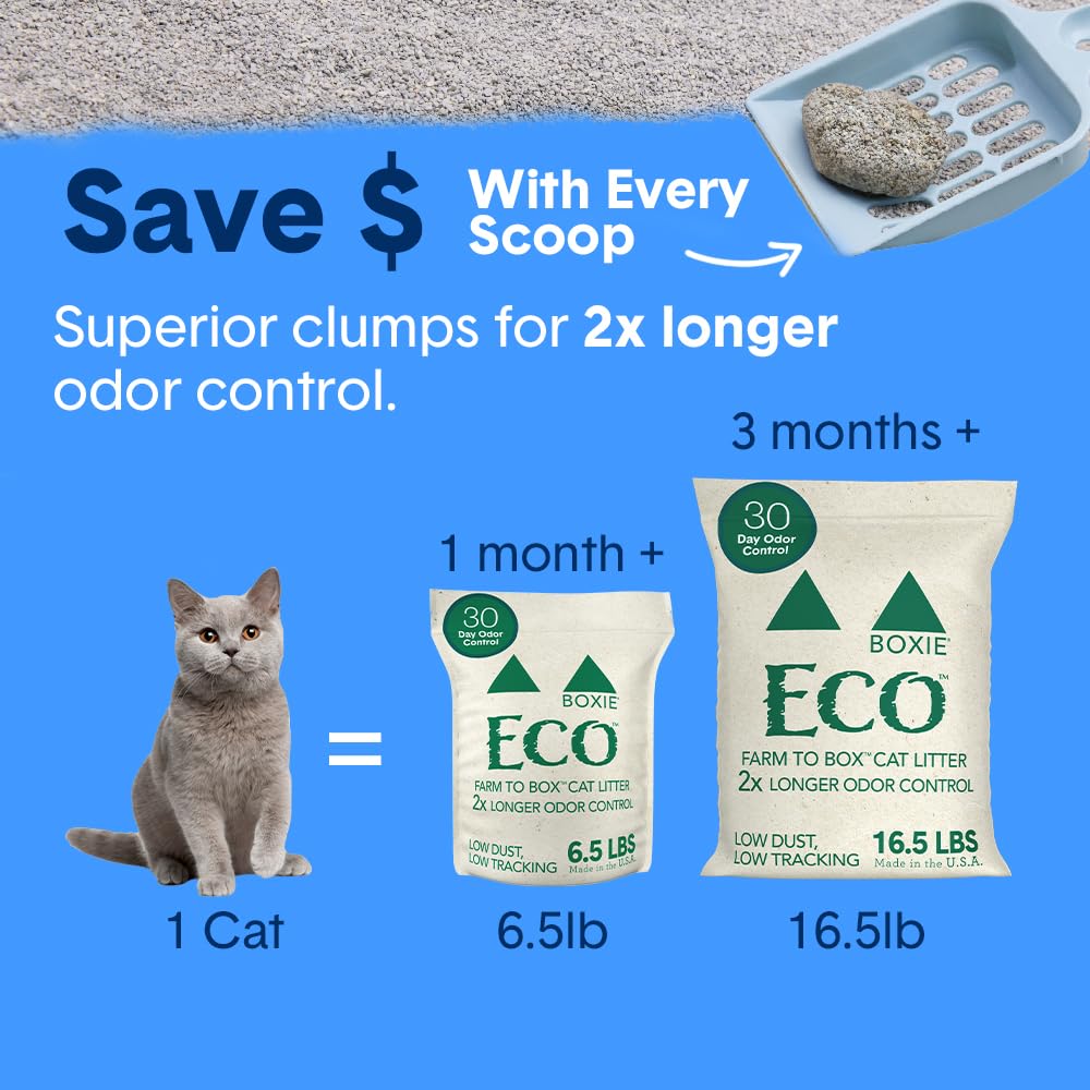 Boxiecat Eco offre performance et odeur fiable au quotidien.