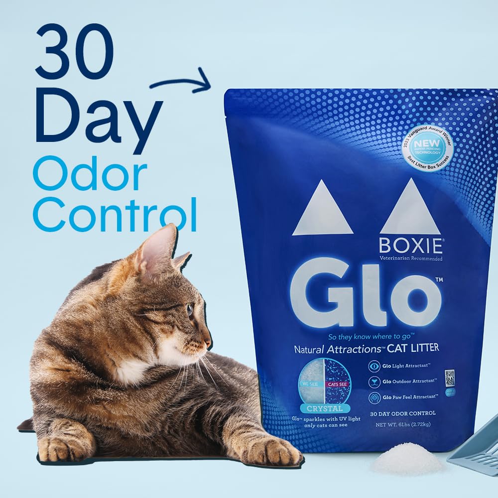 Boxiecat Glo: attractant UV lumineux pour guider les chats vers la litière.