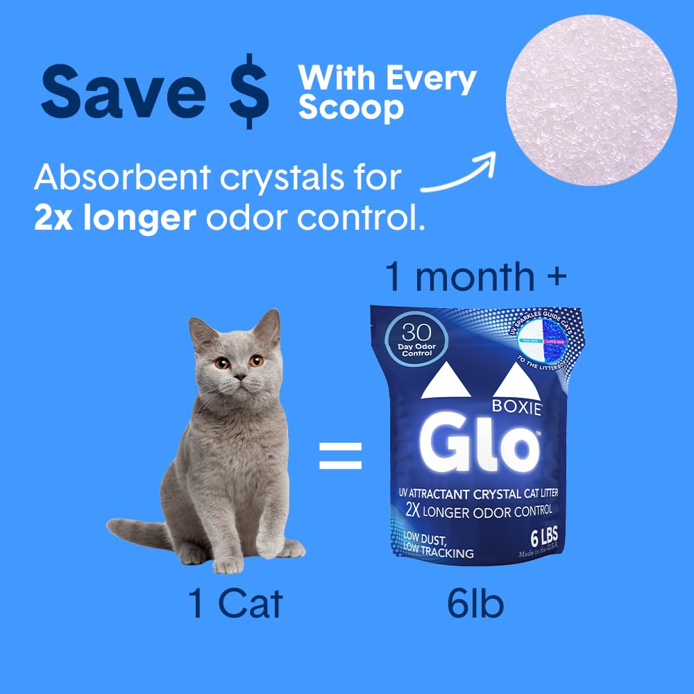 Boxiecat Glo: odeurs durables et propreté améliorée autour du bac.