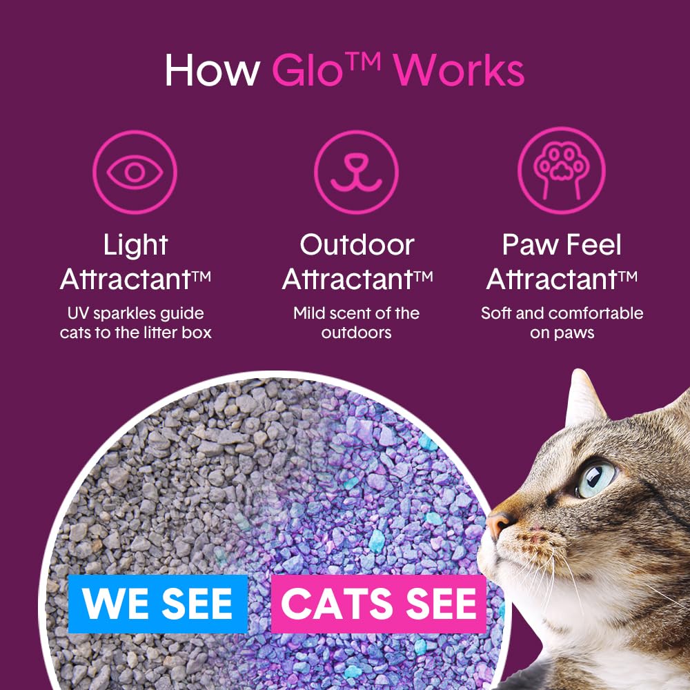Boxiecat Glo: visuel UV qui attire naturellement les chats.