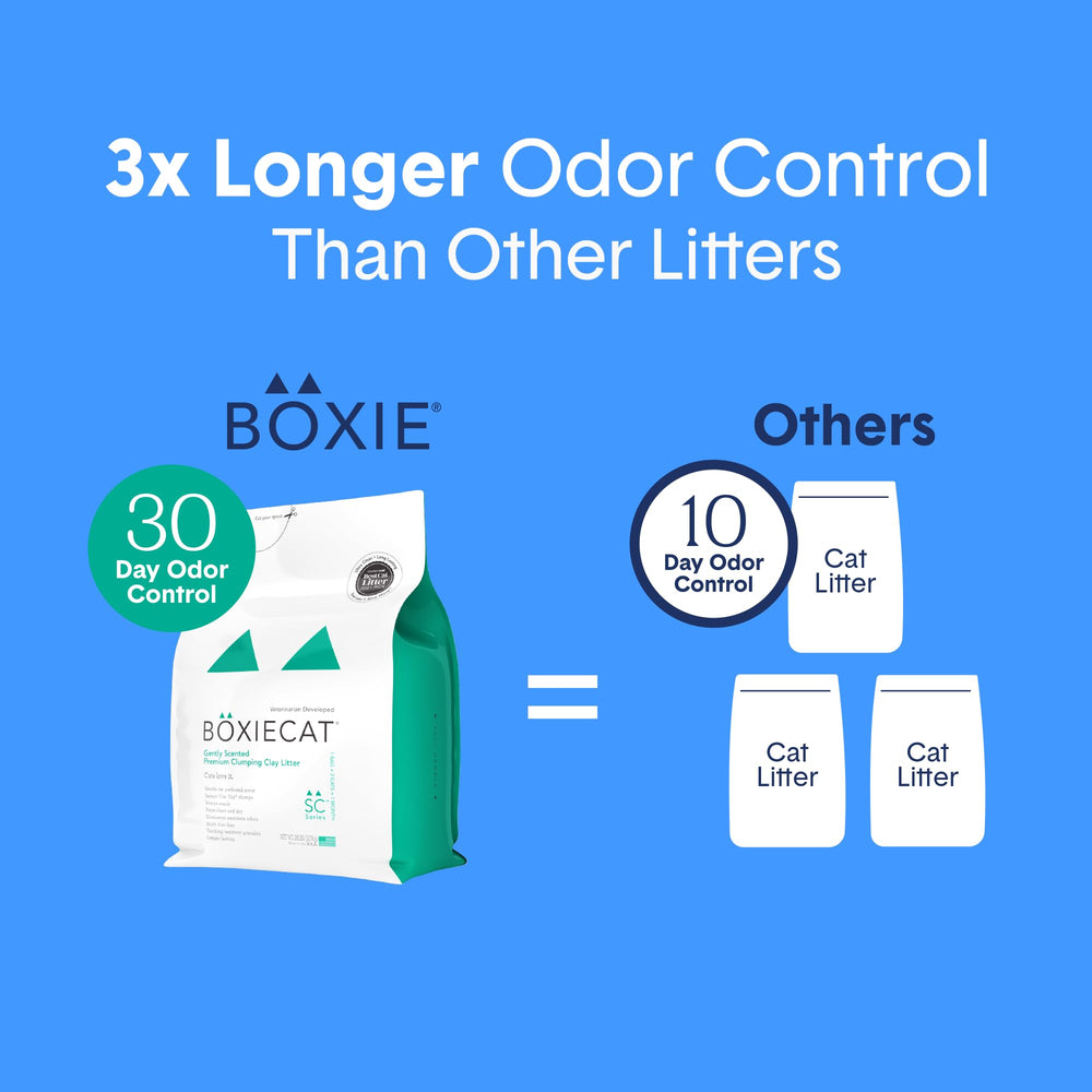 Litière Boxiecat adaptée à tous les types de bacs pour une utilisation polyvalente.