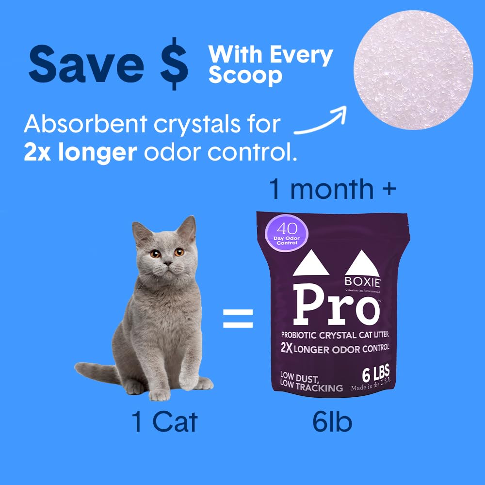 Boxiecat litière cristal — absorption rapide et longue durée