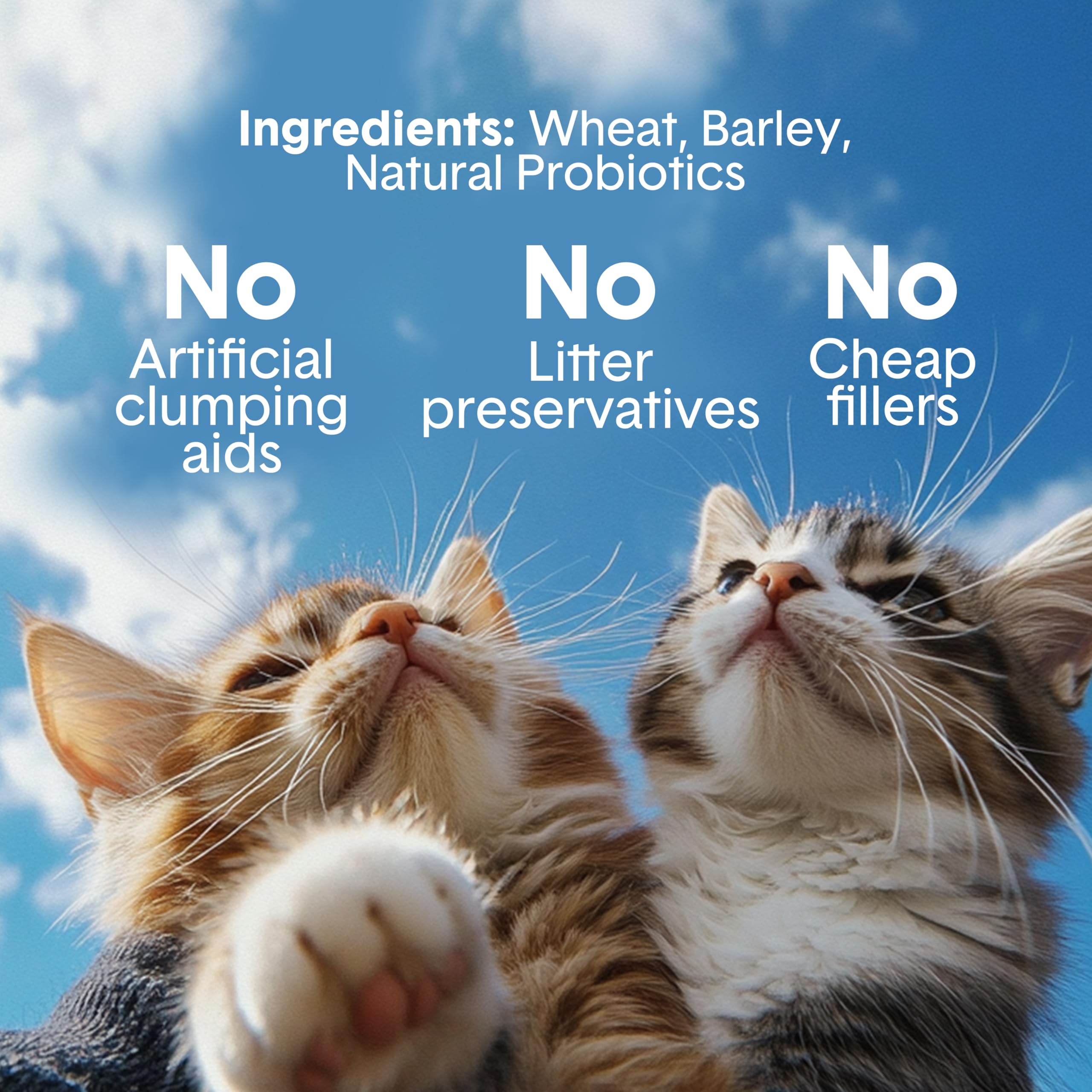 Boxiecat Litière Extra Strength — poussière quasi nulle, moins de traînée dans la maison