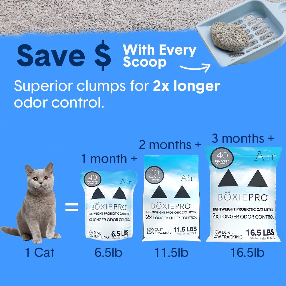 BoxieCat litière pour foyers mono et multi-chats : pratique et fiable.