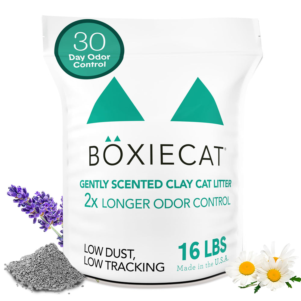 Boxiecat Litière Premium dans son emballage, pratique pour démarrer rapidement la routine de litière.