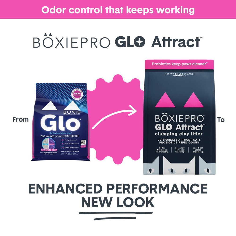 BoxiePro Glo, attractant lumineux UV guidant les chats vers la litiere.