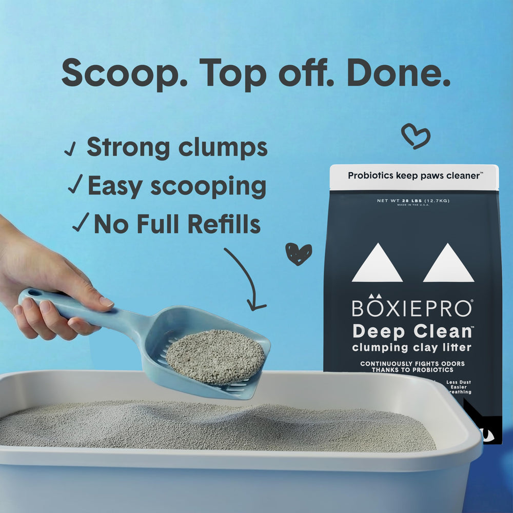 Compatibilité BoxiePro avec tous les types de bacs à litière.