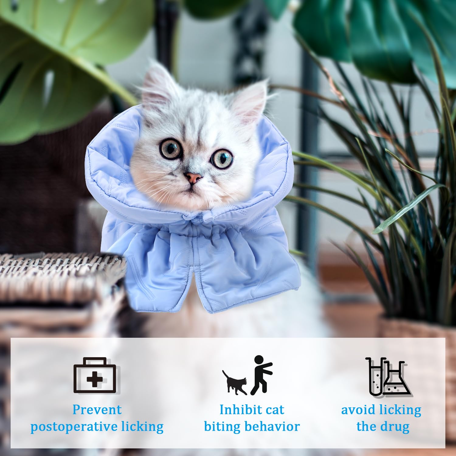 Nettoyage facile et entretien pratique du collier BOXOB.
