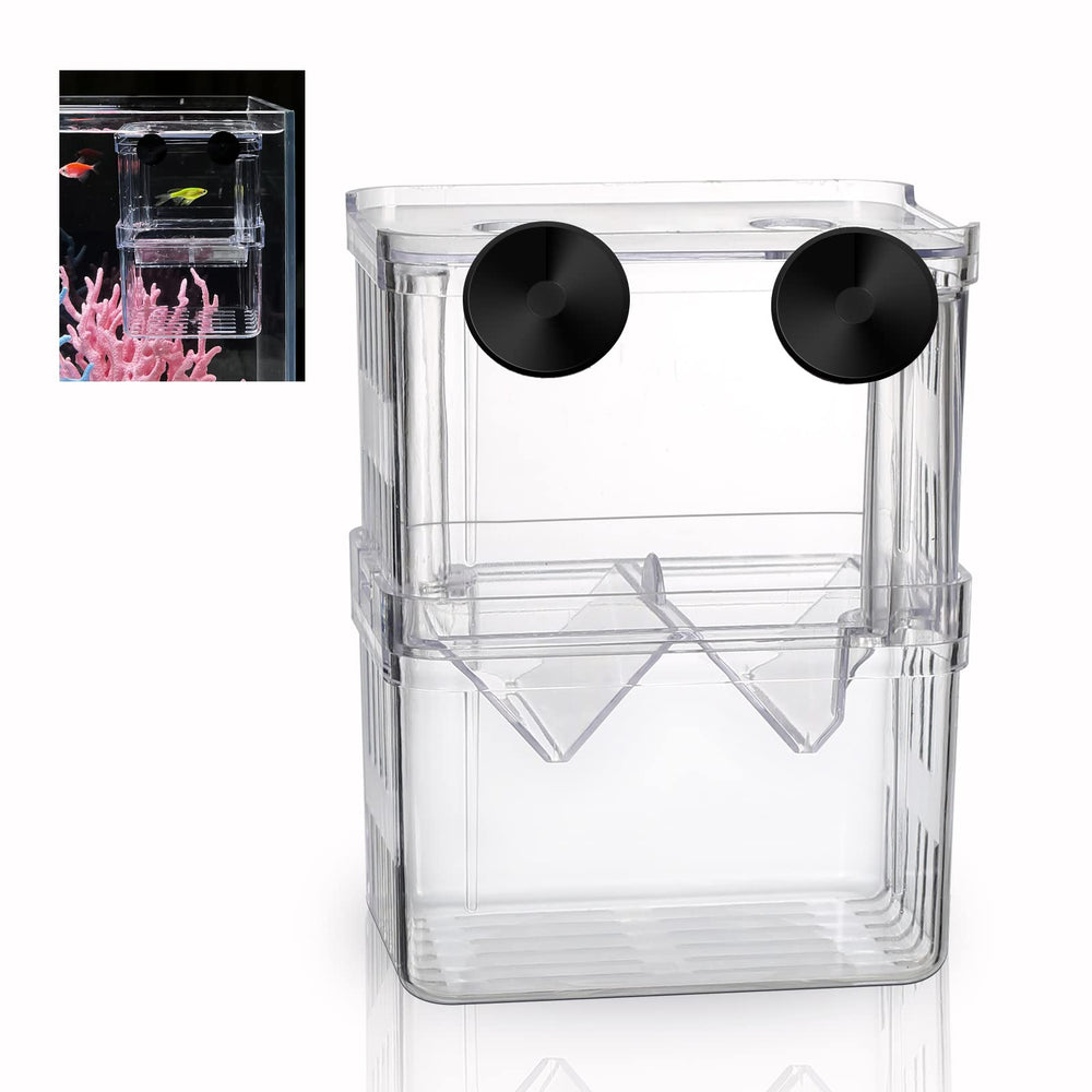 Boxtech boîte-élevage aquarium, vue claire des alevins en sécurité dans l'aquarium.
