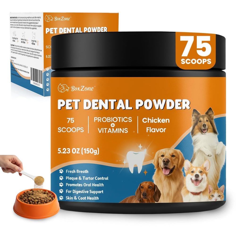 BoxZone Poudre Dentaire - emballage, pratique pour l'achat et le stockage.