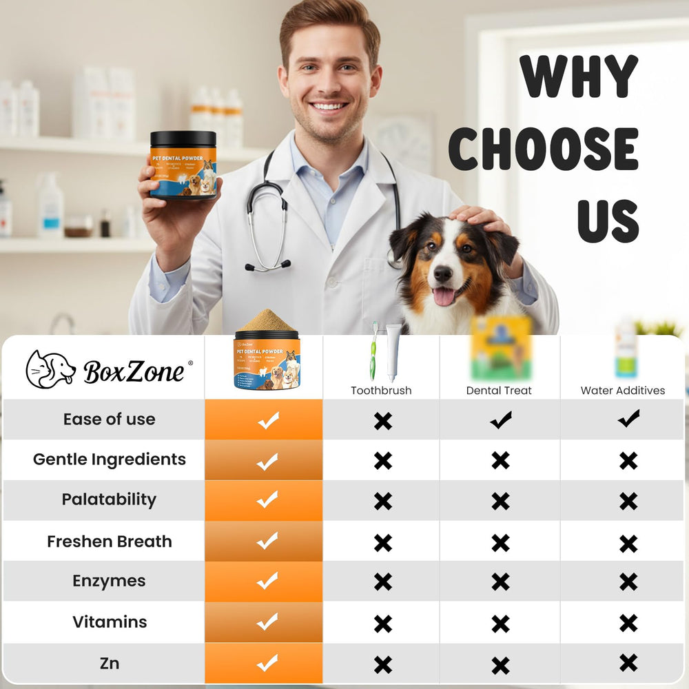 BoxZone Poudre Dentaire - pot, contenant facile pour utilisation quotidienne.