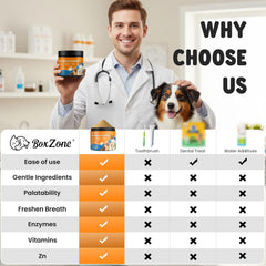BoxZone Poudre Dentaire - pot, contenant facile pour utilisation quotidienne.