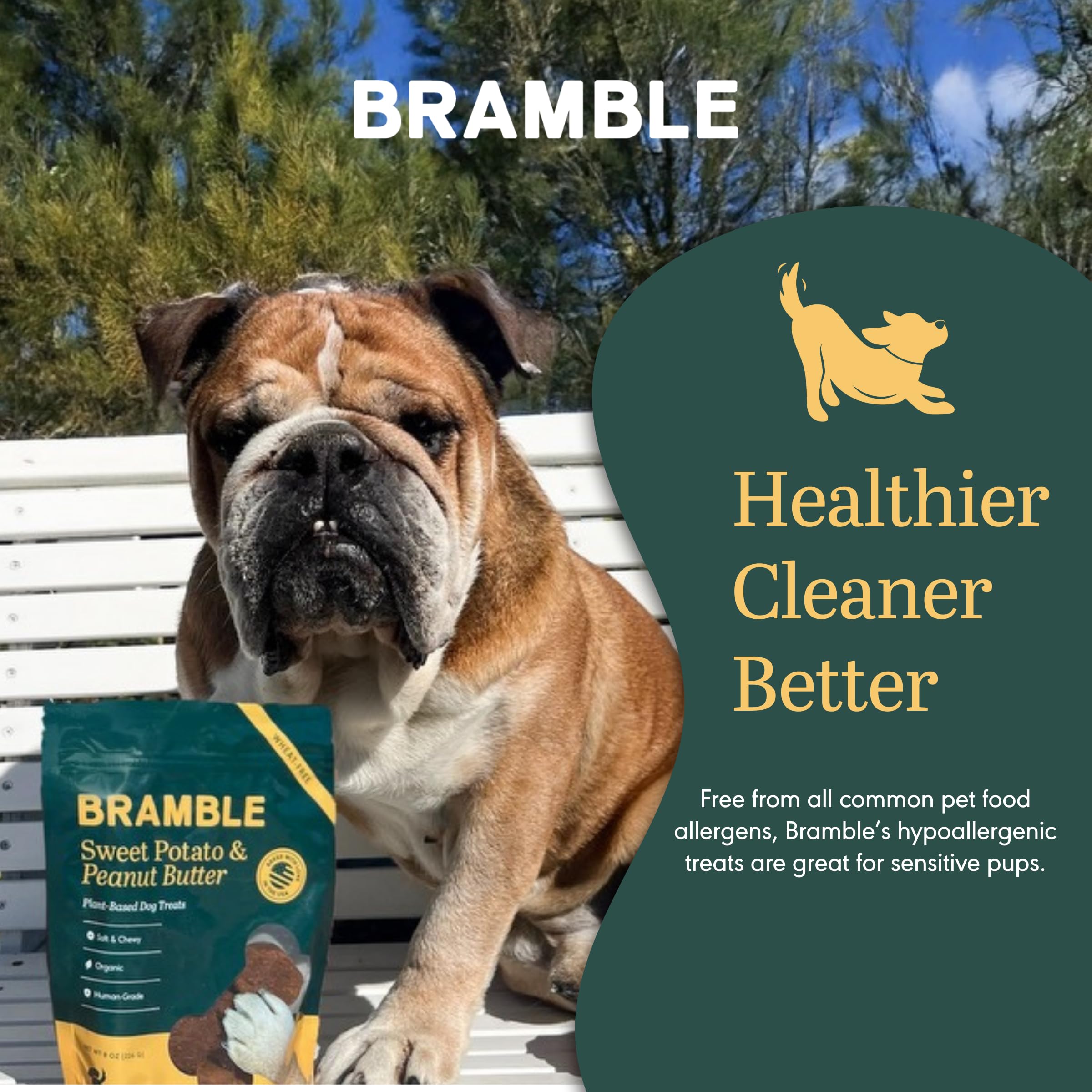 BRAMBLE fabriqué aux États‑Unis, haute qualité et traçabilité.