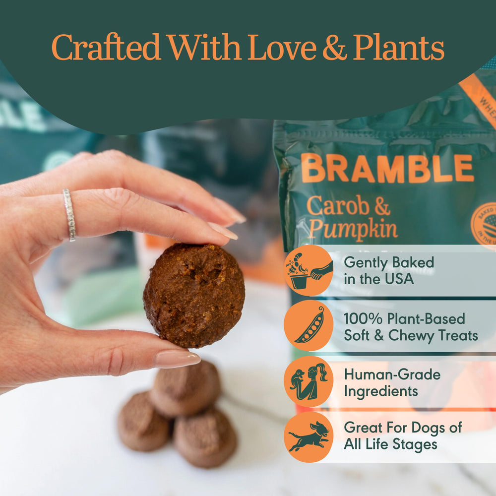 BRAMBLE ingrédients de haute qualité pour une alimentation canine équilibrée et naturelle.