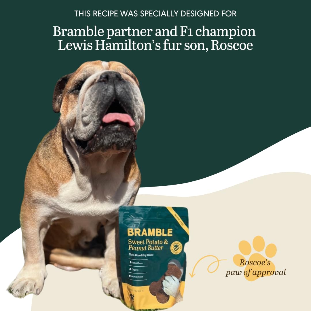 BRAMBLE pour tous les chiens, adaptée à toutes tailles.