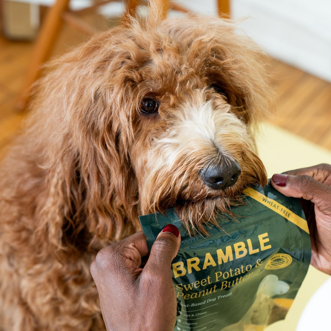 BRAMBLE snack entraînement chien, récompense idéale lors des exercices.