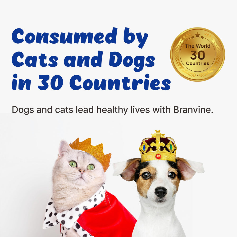 Saveur végan Branvine, sans ingrédients animaux pour chiens sensibles
