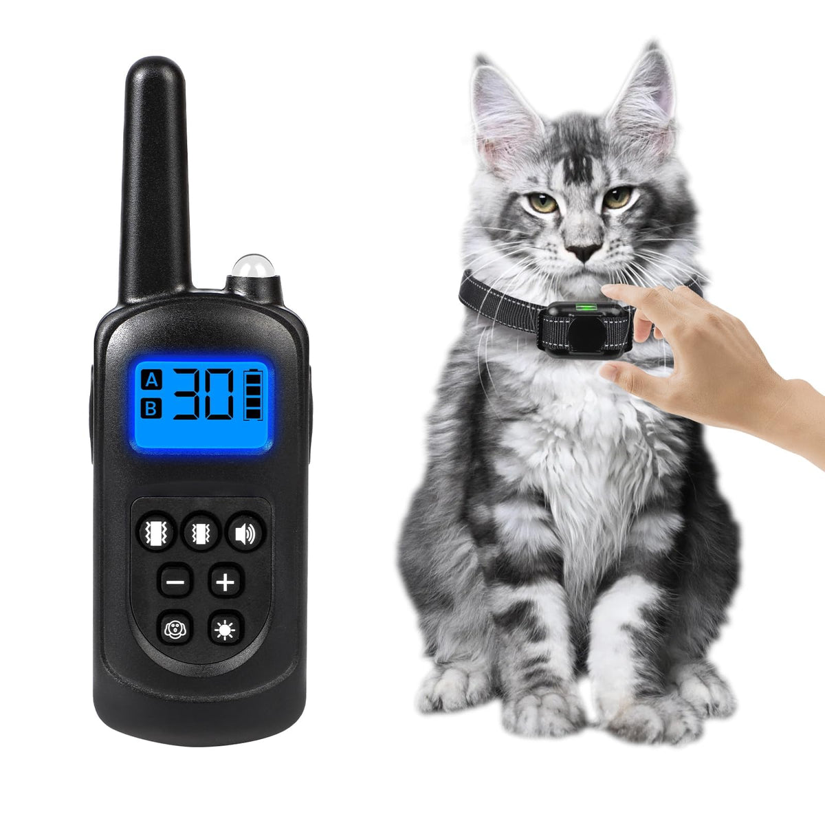 Brapezie collier-formation-chat-sans-choc : correction sûre et douce.
