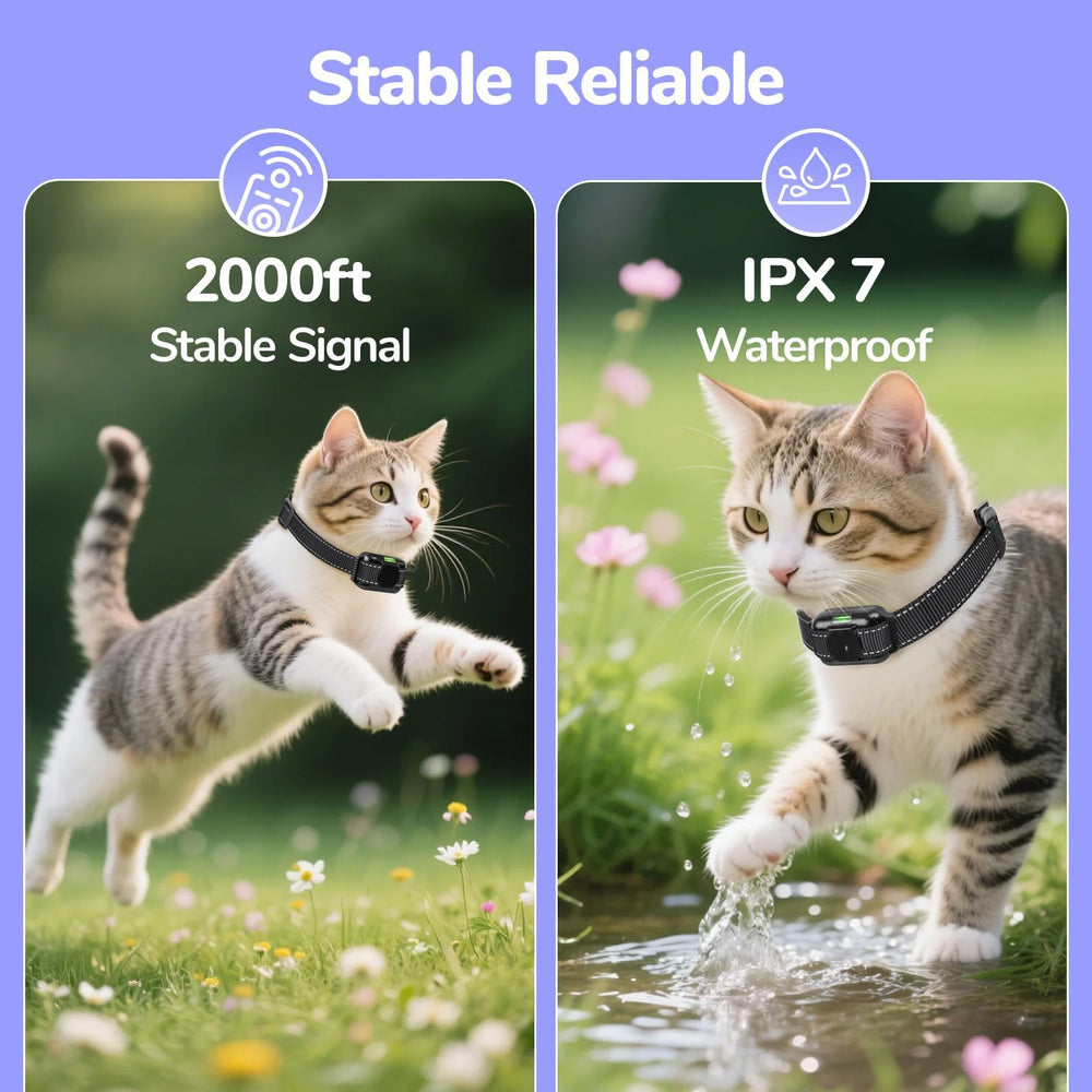 Brapezie taille-ajustable-chat-10-120lbs : réglage confortable pour toutes les tailles.