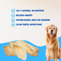 Brazilian Pet - Oreilles de vache géantes, plus de 5 pouces pour chiens actifs.