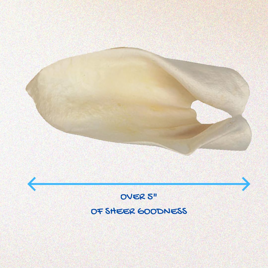 Brazilian Pet - Oreilles sans additifs ni hormones pour chien.