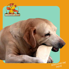 Brazilian Pet Premium Tranches Epaises — pour-morsure chien, usage quotidien.