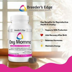 Close-up des friandises Breeder's Edge Oxy Momma Soft Chews, texture agréable et facile à administrer.