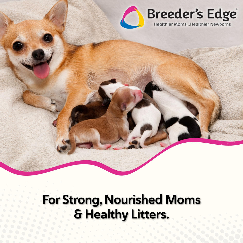 Breeder's Edge Oxy Momma Soft Chews emballage arriere, ingrédients et usages potentiels.
