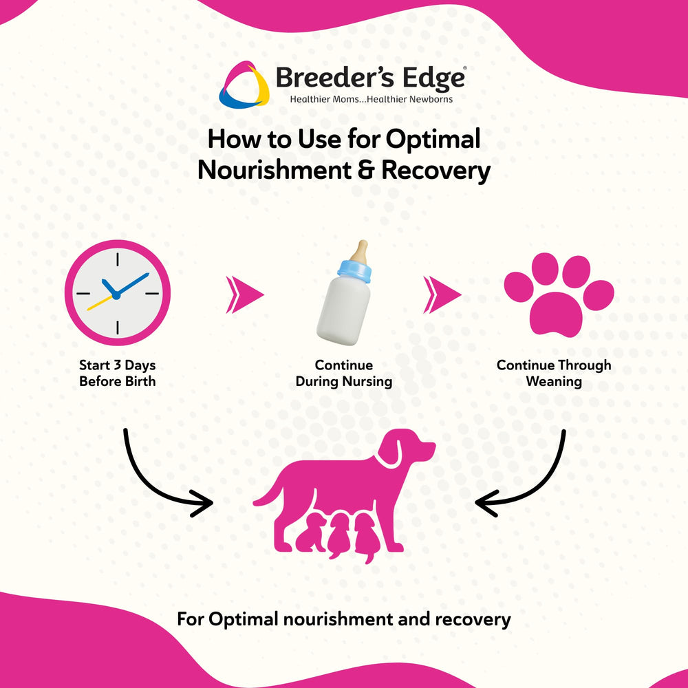 Maman chatte avec chatons utilisant Breeder's Edge Oxy Momma Soft Chews.