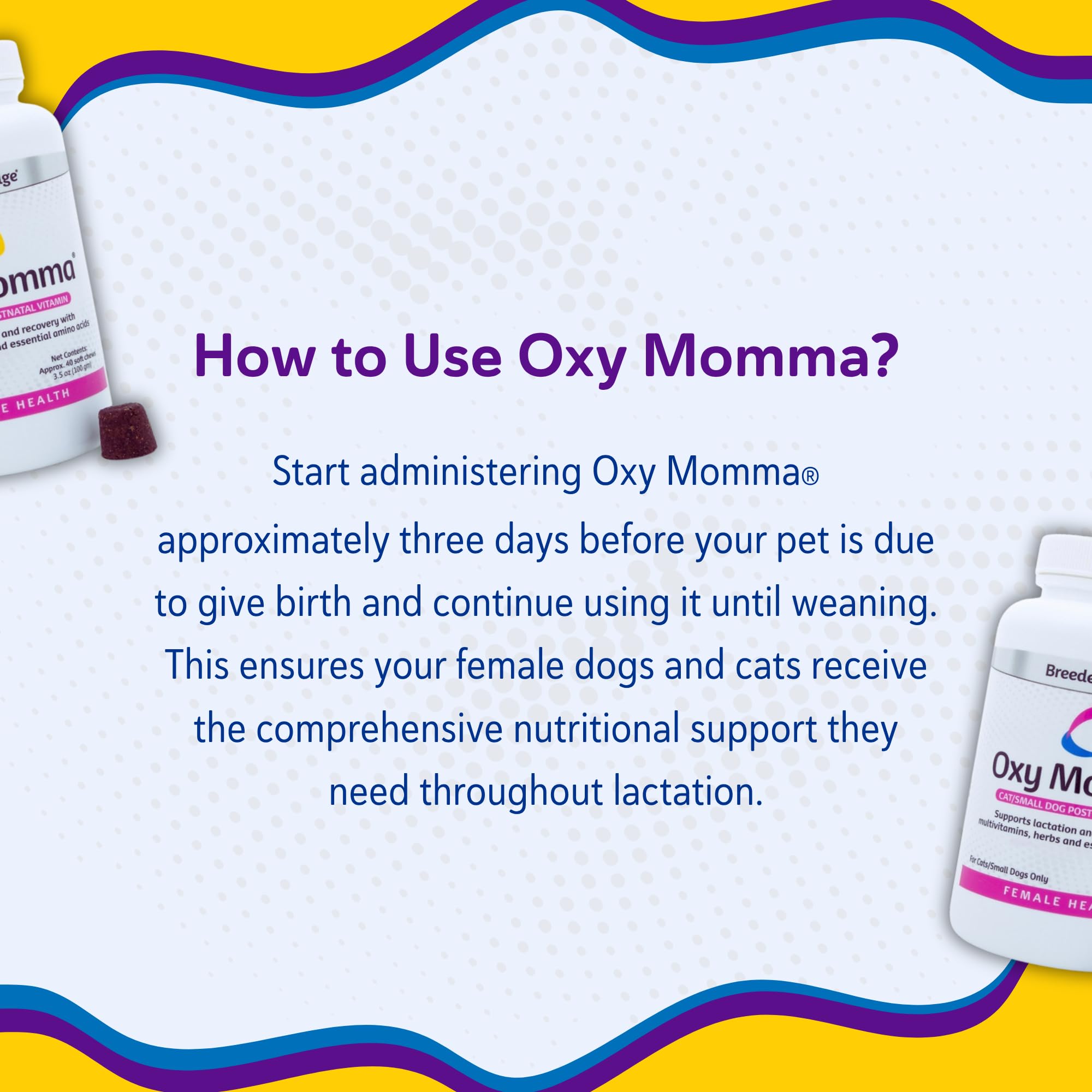 Utilisation quotidienne avec Breeder's Edge Oxy Momma Soft Chews pour mamans actives.