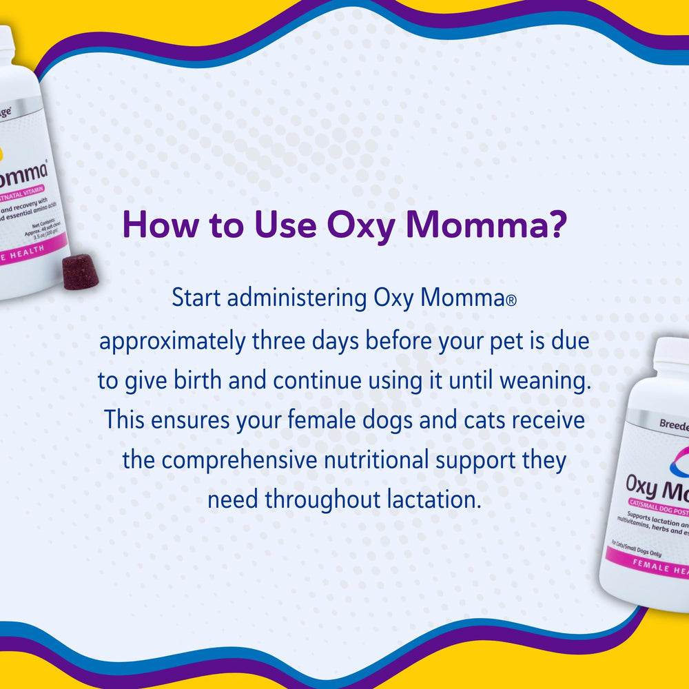 Utilisation quotidienne avec Breeder's Edge Oxy Momma Soft Chews pour mamans actives.