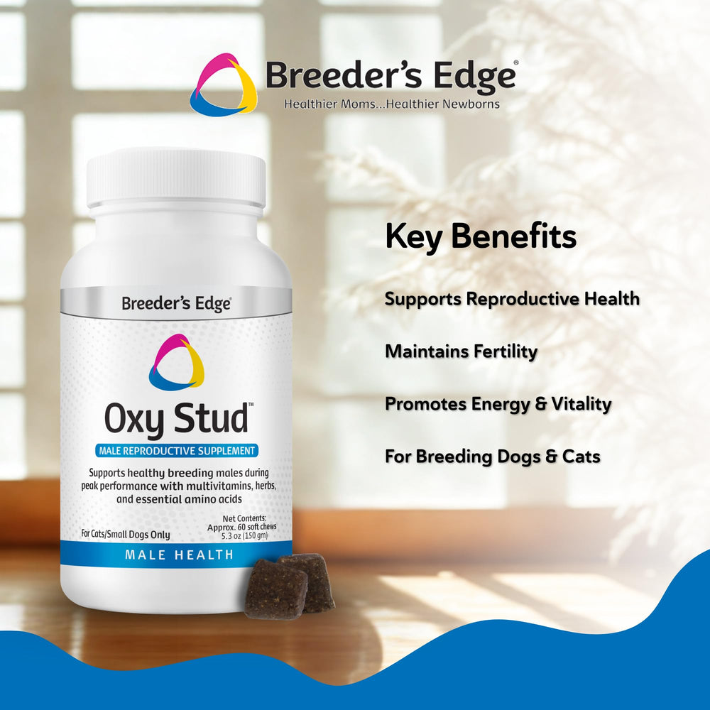 Breeder’s Edge Oxy Stud flacon et étiquette montrant les nutriments clés