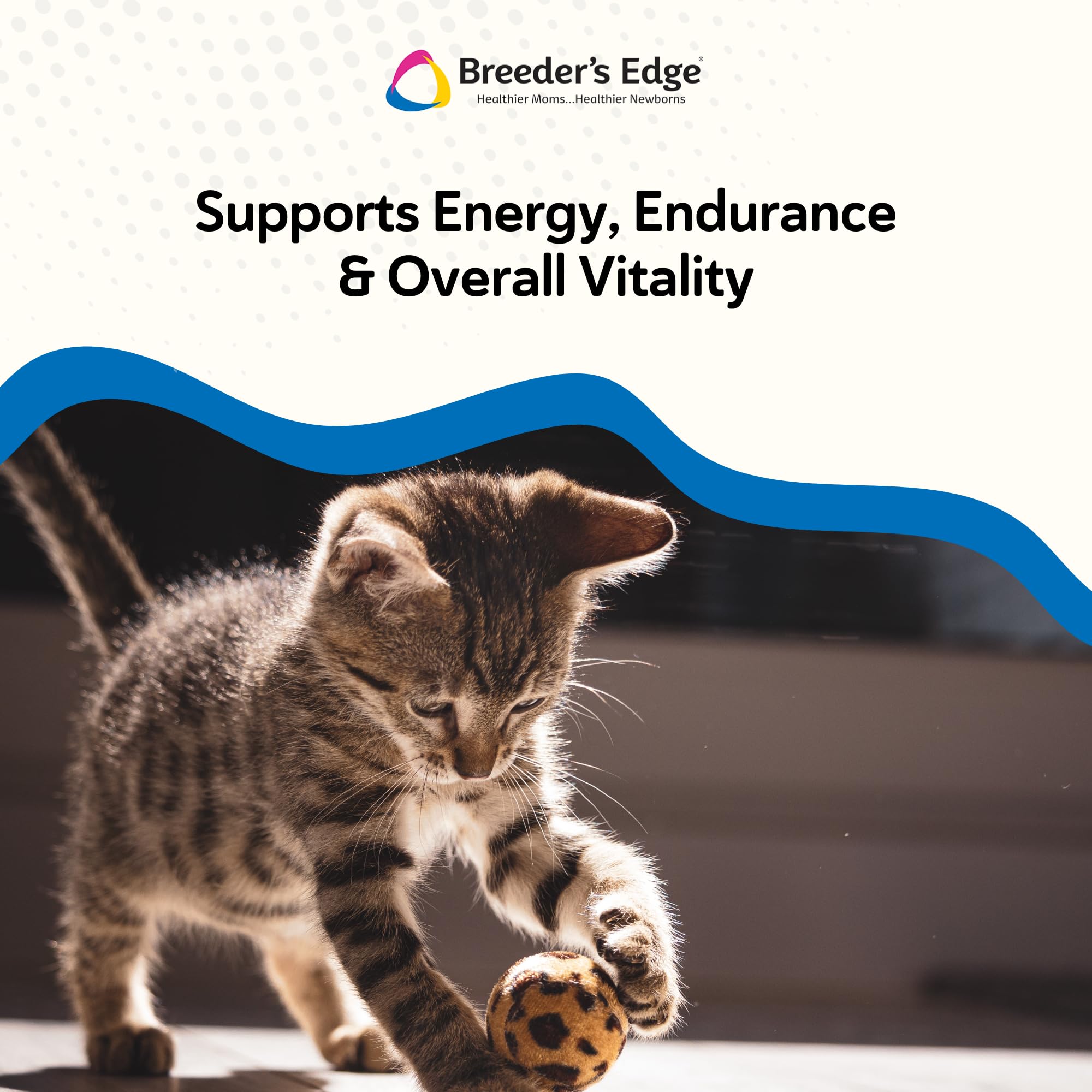 Breeder’s Edge Oxy Stud tableau des ingrédients et nutriments