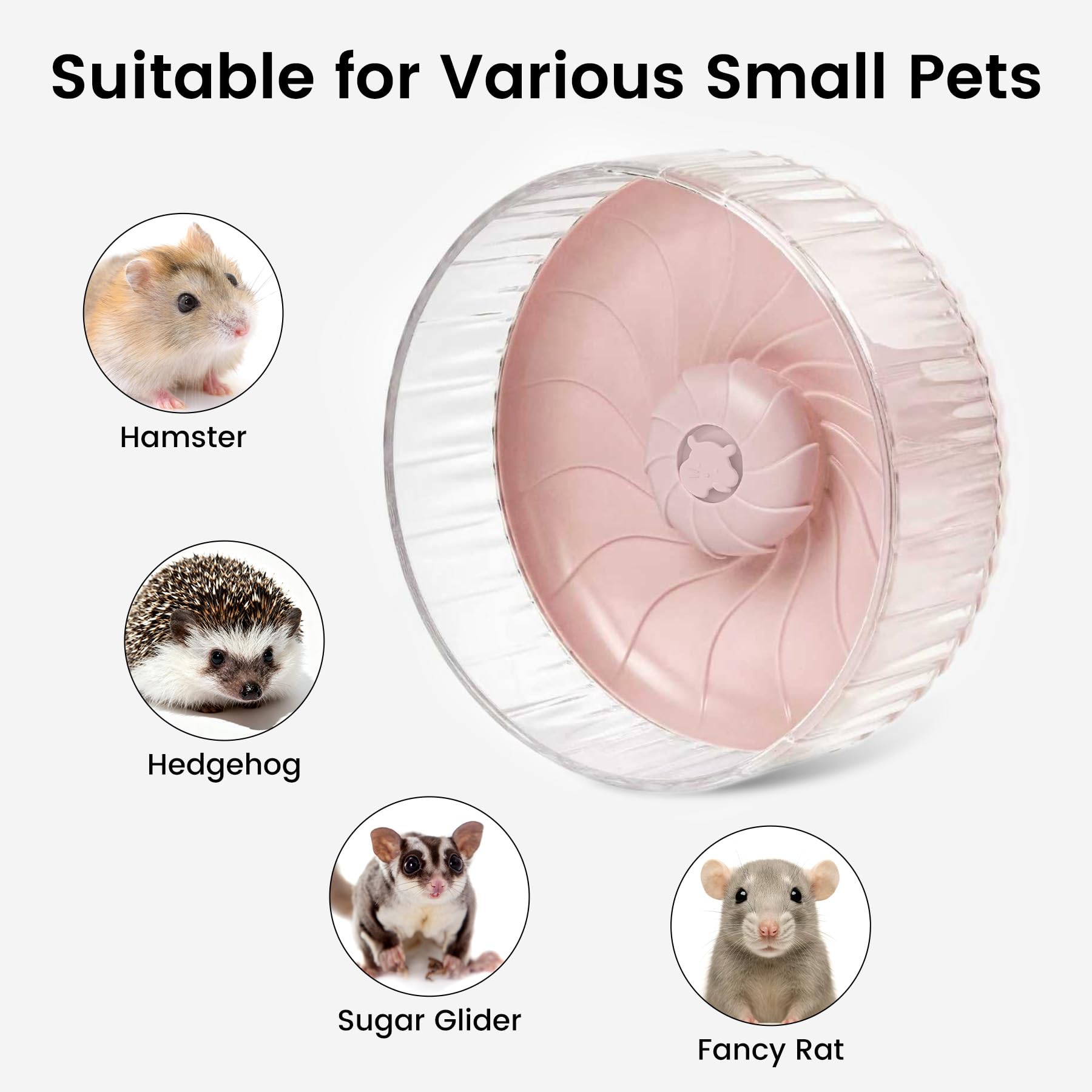 Roue compacte BREENHILL pour petits animaux et cages variées