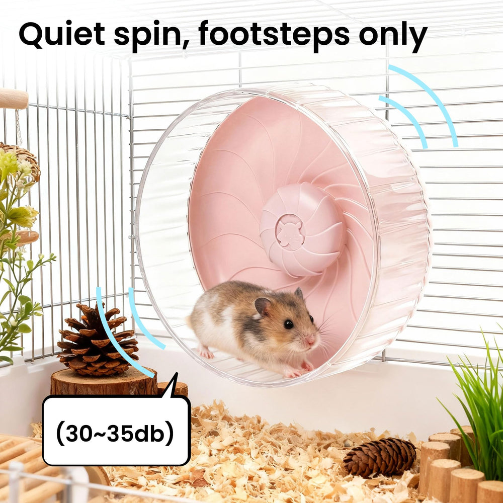 Roue silencieuse BREENHILL 10 pouces transparente pour observation facile
