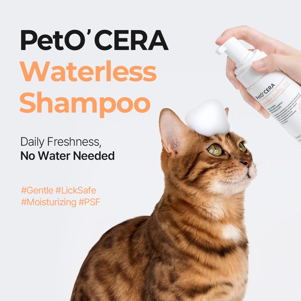Breezytail PetO’Cera: pompe mousse silencieuse pour animaux sensibles