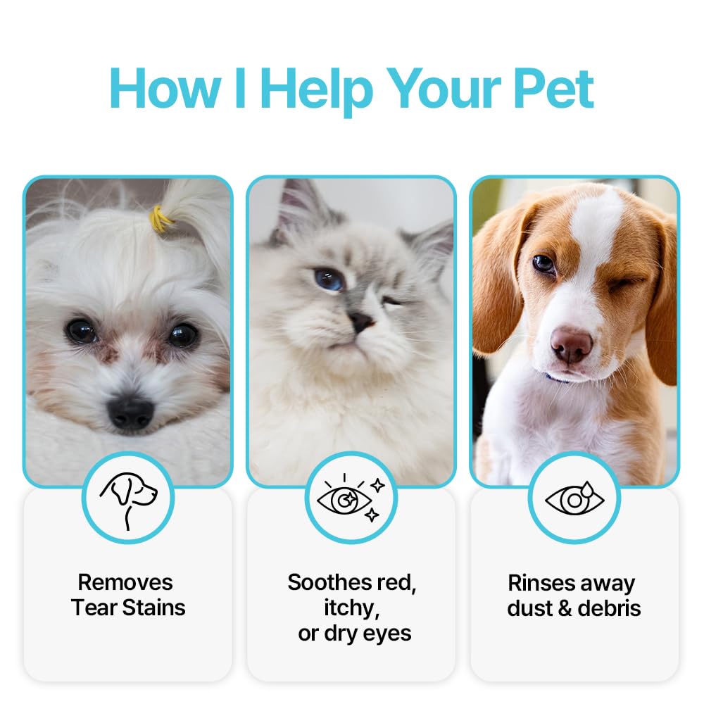 Breezytail PetO’Cera Q-Eye: confort oculaire pour chiens et chats sensibles.